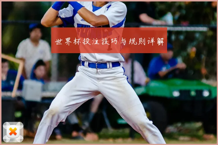 世界杯投注技巧与规则详解