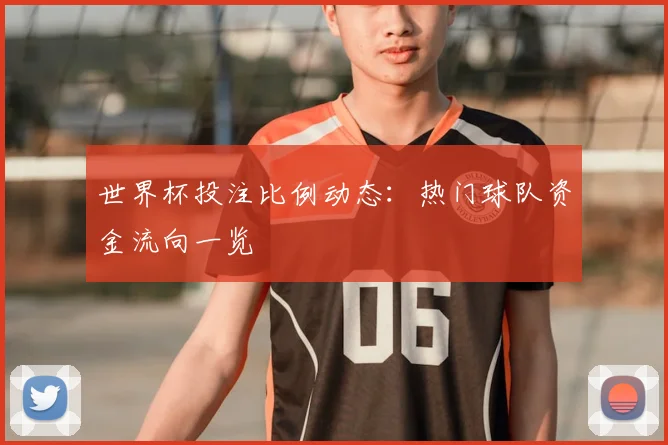世界杯投注比例动态：热门球队资金流向一览