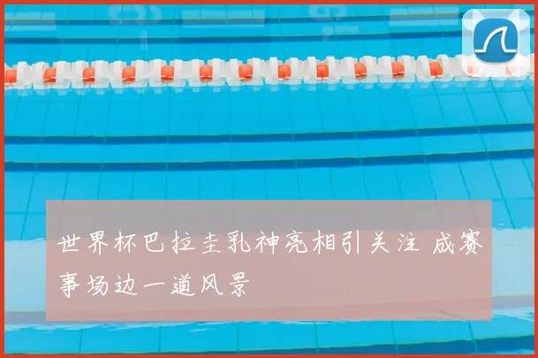 世界杯巴拉圭乳神亮相引关注 成赛事场边一道风景